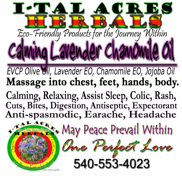 Calming Lavender Chamomile Massage Oil 1oz
