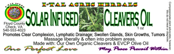 cleaversoilhires copy Solar Infused Cleavers Oil 1oz