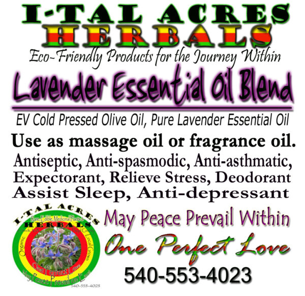lavenderblendhirres Lavender Massage Oil 1oz