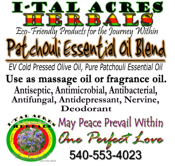 patchoulioilblendhirres Patchouli Massage Oil 1oz