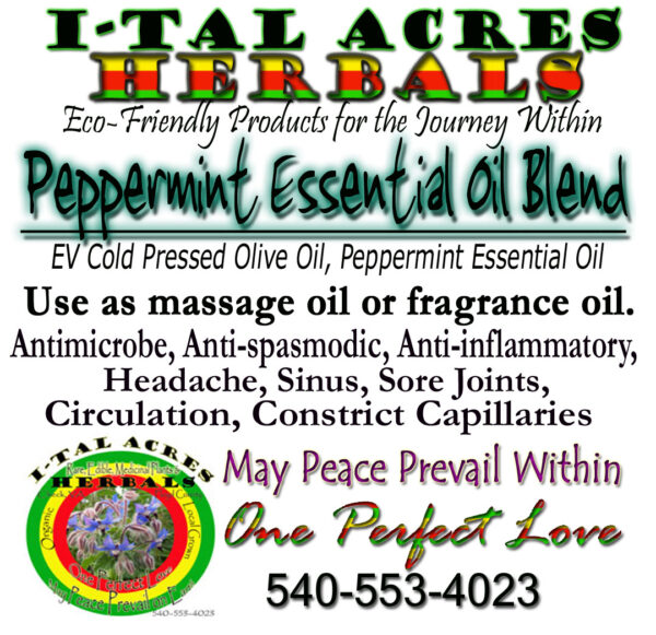 peppermintblendhirres Peppermint Massage Oil 1oz
