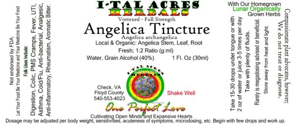 1.75AngelicaSuperHiRes copy scaled Angelica Tincture 1oz