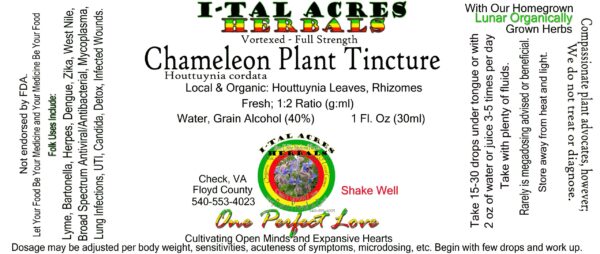 Chameleon Plant Tincture 1oz
