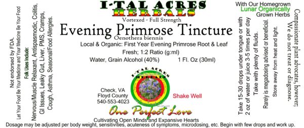 1.75EveningPrimroseSuperHiRes copy scaled Evening Primrose Tincture 1oz