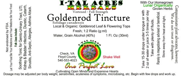 1.75GoldenrodSuperHiRes copy scaled Goldenrod Tincture 1oz