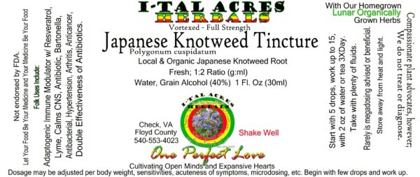 Japanese Knotweed Tincture 1oz