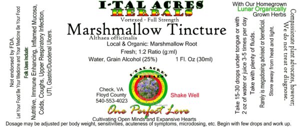 1.75MarshmallowSuperHiRes copy scaled Marshmallow Root Tincture 1oz