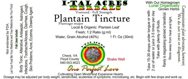 Plantain Tincture 1oz