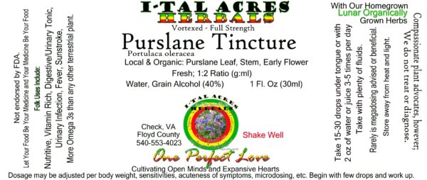 1.75PurslaneSuperHiRes copy scaled Purslane Tincture 1oz