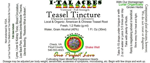 Teasel Tincture 1oz