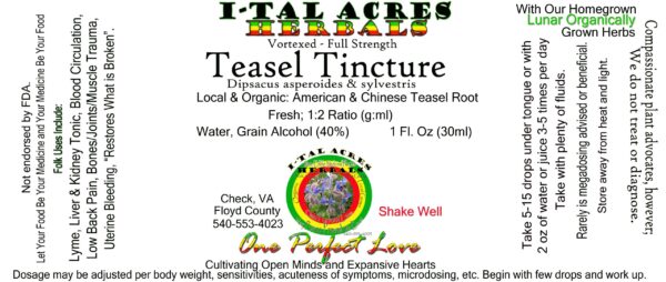 1.75TeaselSuperHiRes copy scaled Teasel Tincture 1oz