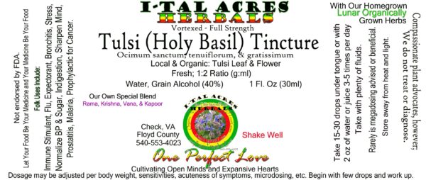 1.75TulsiSuperHiRes copy scaled Tulsi Tincture