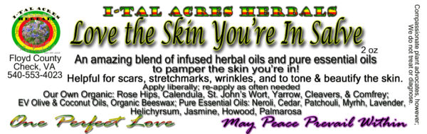 Love the Skin You're In Salve 2oz