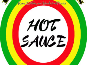 Hot Sauce