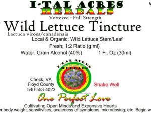 1.75LettuceSuperHiRes copy scaled Single Herbal Tinctures