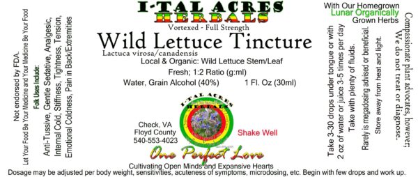 1.75LettuceSuperHiRes copy scaled Wild Lettuce Tincture 1oz