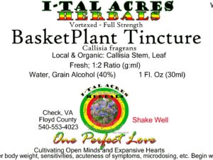 1.75BasketPlantSuperHiRes copy scaled Single Herbal Tinctures