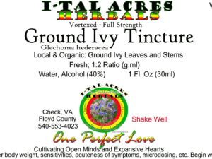 1.75GroundIvySuperHiRes copy scaled Single Herbal Tinctures