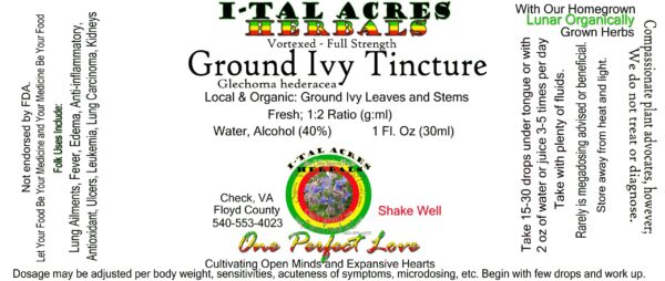 1.75GroundIvySuperHiRes copy scaled Ground Ivy Tincture 1oz