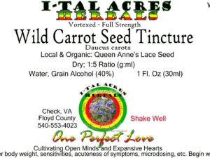 1.75WildCarrotSeedSuperHiRes copy scaled Single Herbal Tinctures