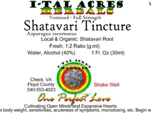 1.75ShatavariiSuperHiRes copy scaled Single Herbal Tinctures