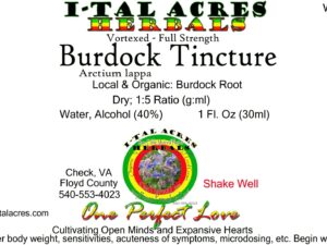 1.75BurdockSuperHiRes copy scaled Single Herbal Tinctures