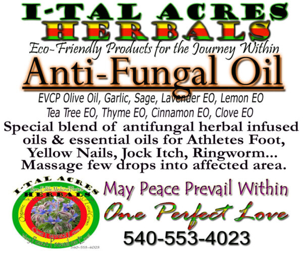 1.75AntiFungalOil1HiRes copy Anti-Fungal Oil 1oz