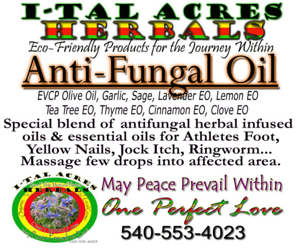 anti fungal oil