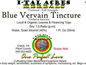 1.75BlueVervainSuperHiRes copy scaled Single Herbal Tinctures