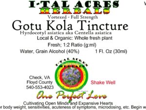 1.75GotuKolaSuperHiRes copy scaled Single Herbal Tinctures