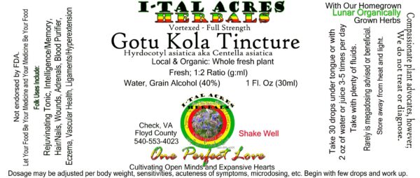 1.75GotuKolaSuperHiRes copy scaled Gotu Kola Tincture 1oz