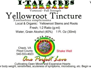 1.75YellowrootSuperHiRes copy scaled Single Herbal Tinctures