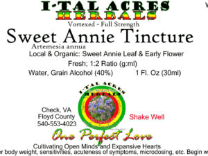 1.75SweetAnnieSuperHiRes copy scaled Single Herbal Tinctures