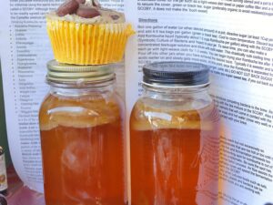 Kombucha