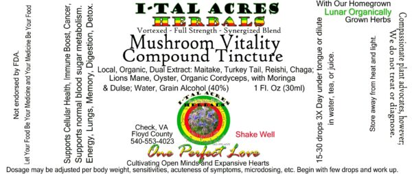 1.75MushroomBlendSuperHiRes copy scaled Mushroom Vitality Tincture