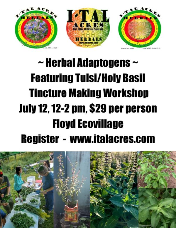 Herbal Adaptogens Workshop