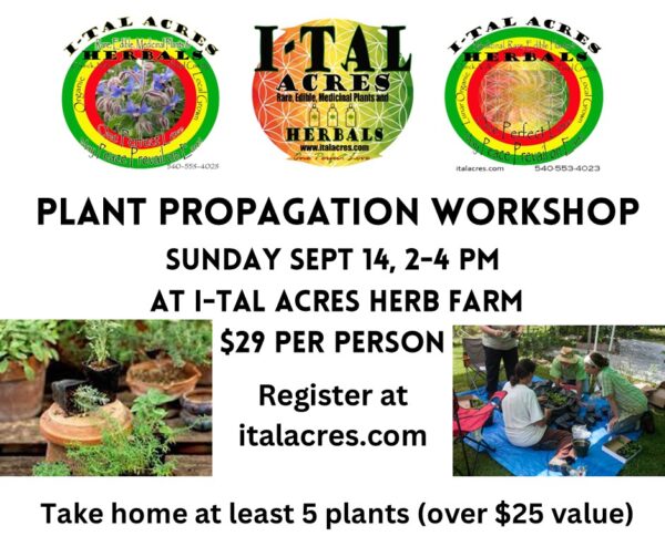 Plant Propagation Class