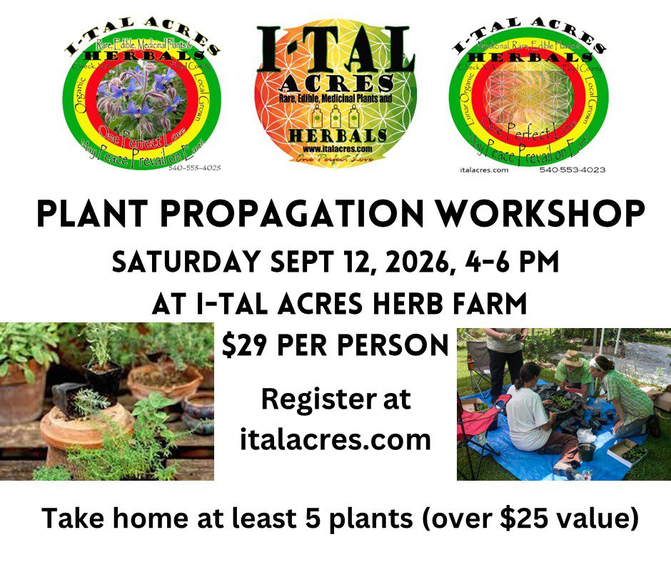 Plant Propagation Class 1 Plant Propagation Class