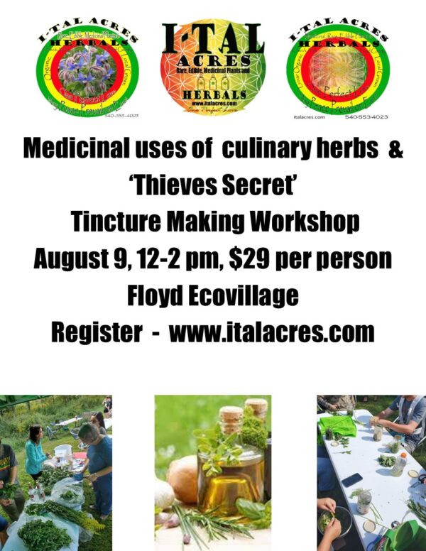 Medicinal Power of Culinary Herbs & Thieves Tincture Making Workshop