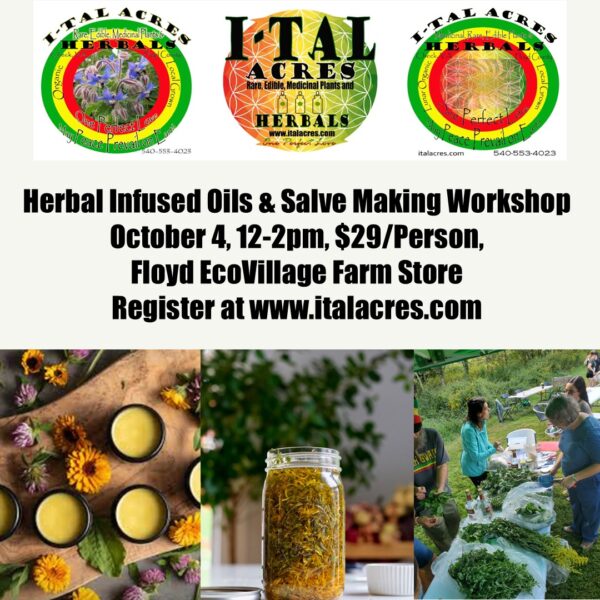 Herbal Infused Oils & Salve Making Class (FALL)