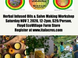 Herbal Infused Oils & Salve Making Class (FALL)
