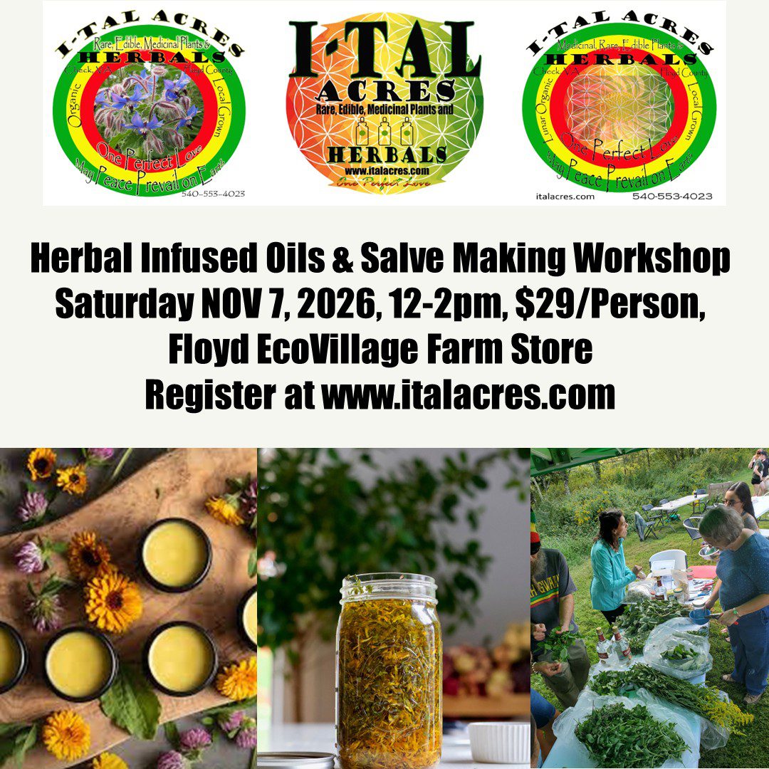 Herbal Infused Oils & Salve Making Class (FALL) 1 Herbal Infused Oils & Salve Making Class (FALL)