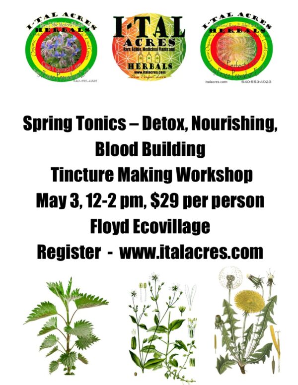 Spring Greens Tincture Workshop
