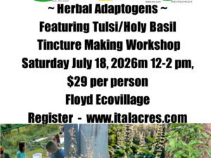 Herbal Adaptogens Workshop