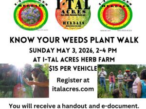 Know Your Weeds Plant ID Walk