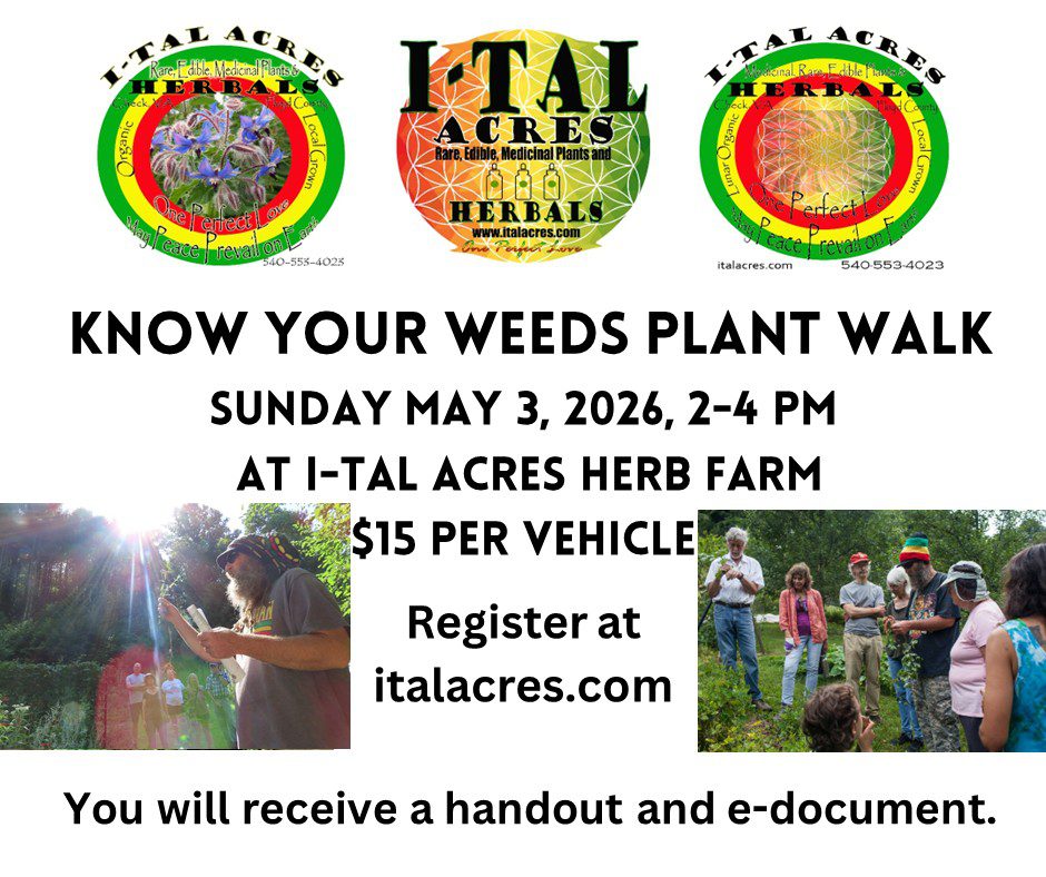 Know Your Weeds Plant ID Walk 1 Know Your Weeds Plant ID Walk