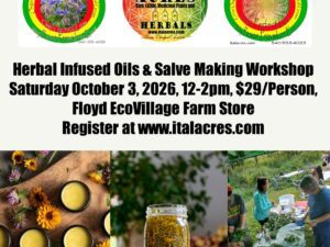 Herbal Infused Oils & Salve Making Class (FALL)