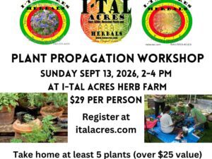 Plant Propagation Class