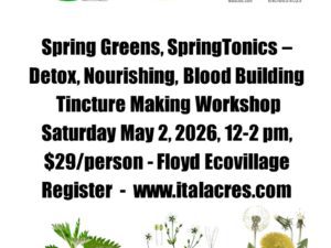 Spring Greens Tincture Workshop