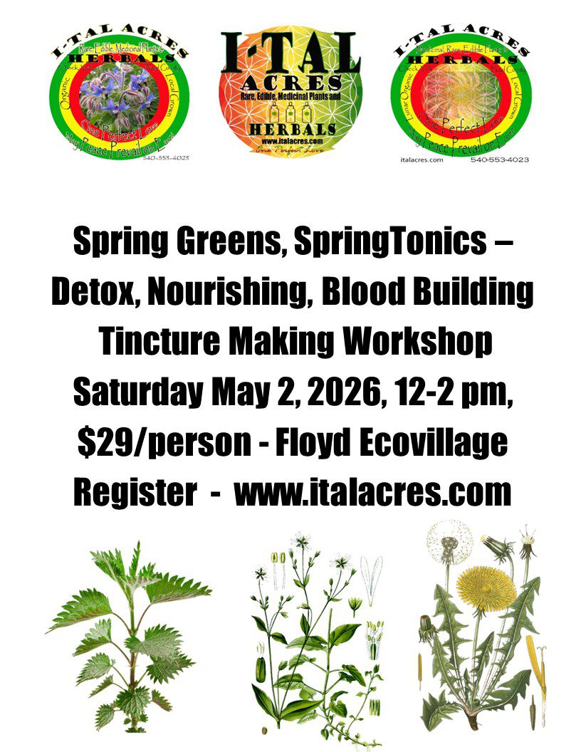 Spring Greens Tincture Workshop 1 Spring Greens Tincture Workshop